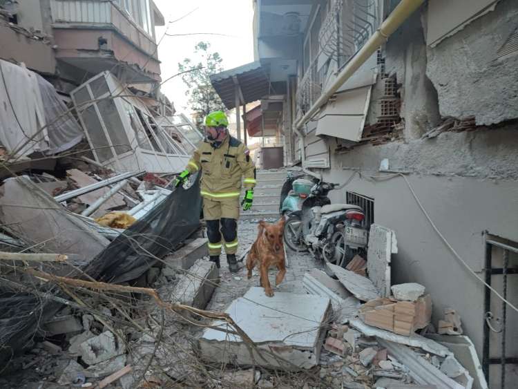 potres v turčiji, slovenski pes, reševanje