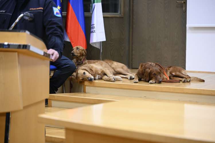 Novinarska konferenca začasnega sestava civilne zaščite z reševalnimi psi, ki so bili 7. februarja letos napoteni v Turčijo.