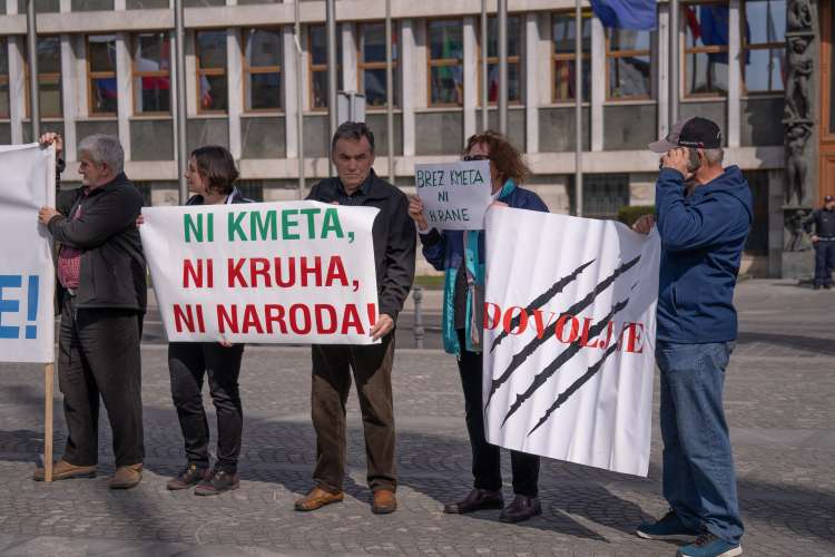 protest-kmetov