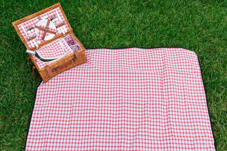 piknik 2
