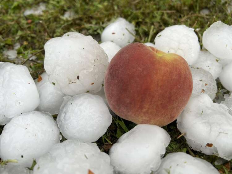 krško meteoinfo