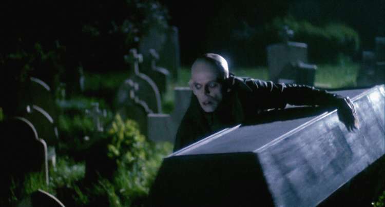 Grof Drakula v Nosferatu, fantom noči (1978), ki ga je posnel s Herzogom.