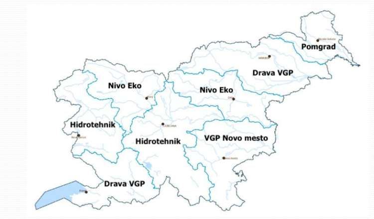 kokoška