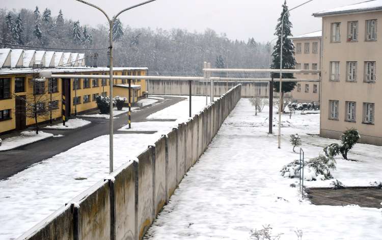 zapor, Dob, foto Arsen Peric_3