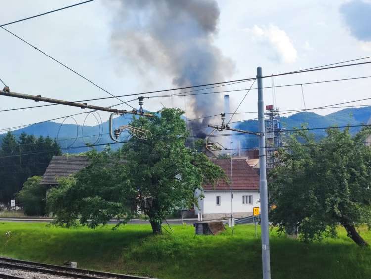 požar, sevnica, tanin
