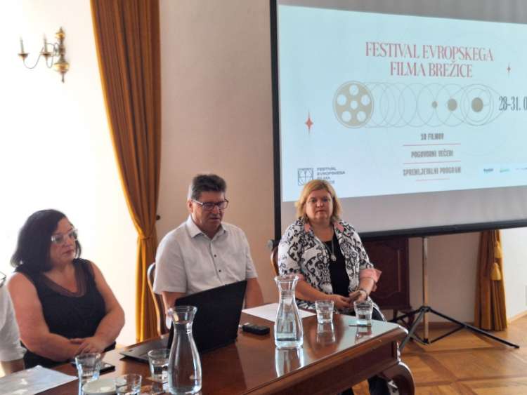 festival-evropskega-filma-brežice, fef