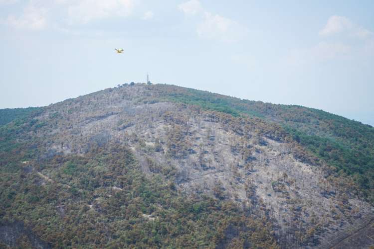požar, požarišče, kras