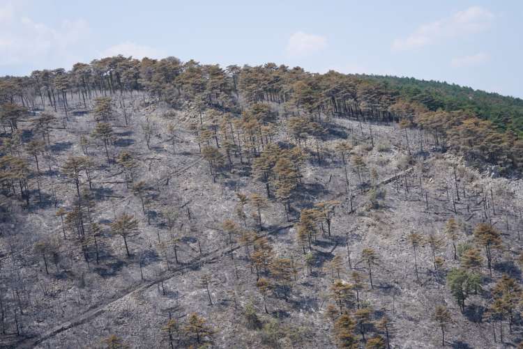 požar, požarišče, kras