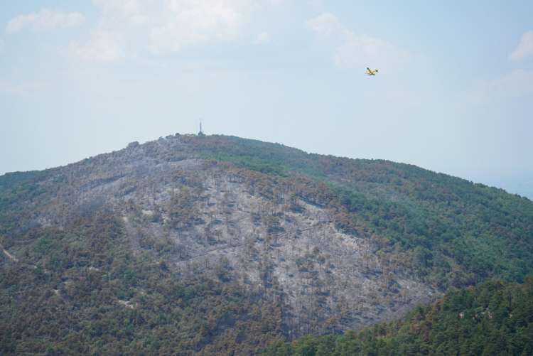 požar, požarišče, kras