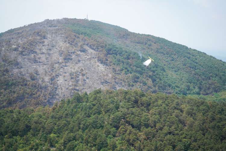 požar, požarišče, kras