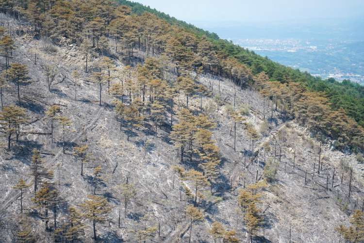 požar, požarišče, kras