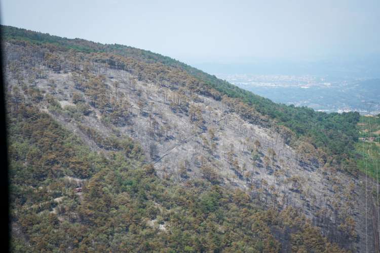 požar, požarišče, kras