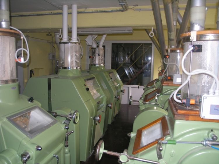 brinovc201033