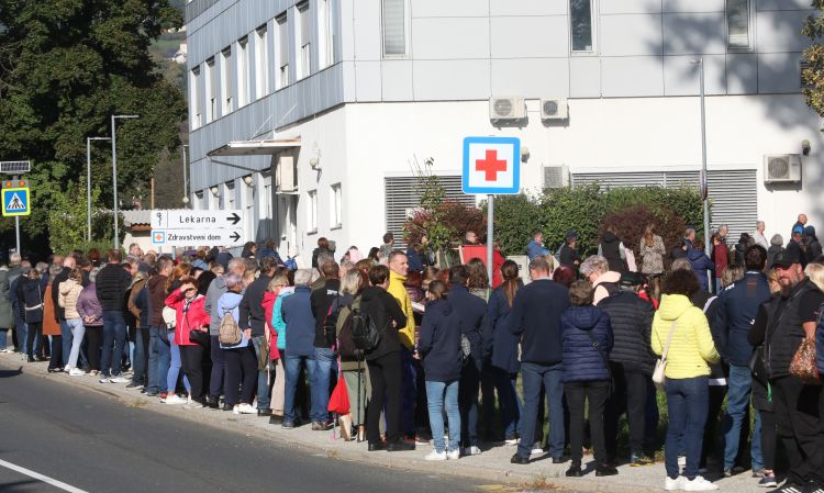 zd slovenska bistrica, zdravnica, vrsta.jpg