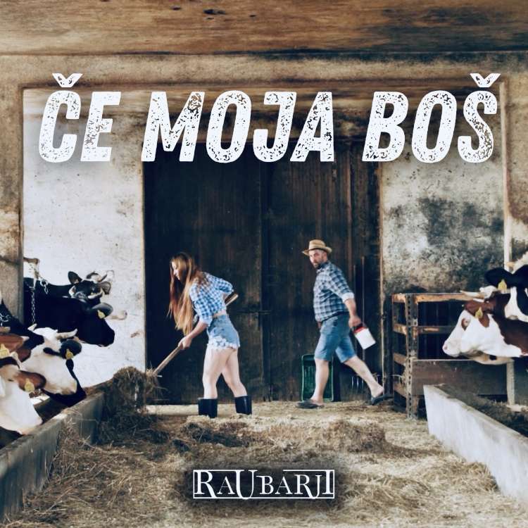 Če moja boš - Raubarji.