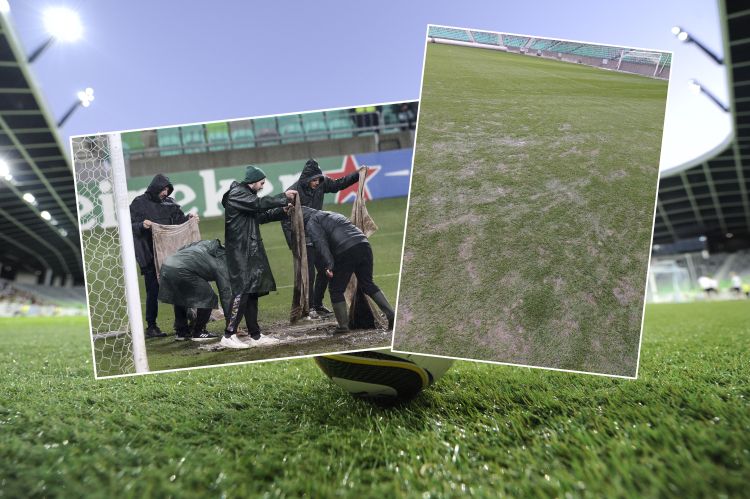 stozice zelenica.jpg