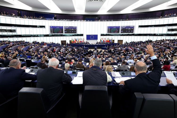 evropski parlament