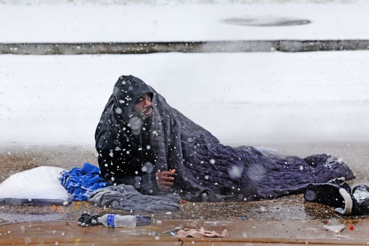 brezdomec zda sneg.jpg