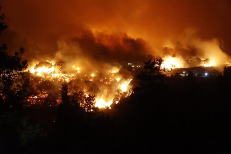 pozar-kalifornija, pacific-palisades