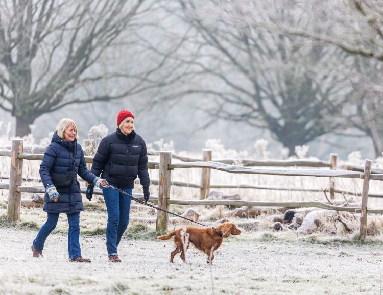 zima, pes, sprehod.jpg