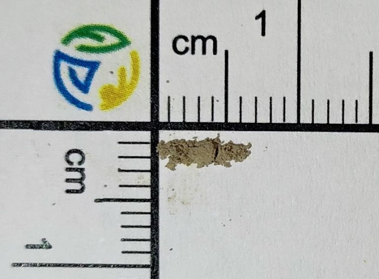 fentanil drogart