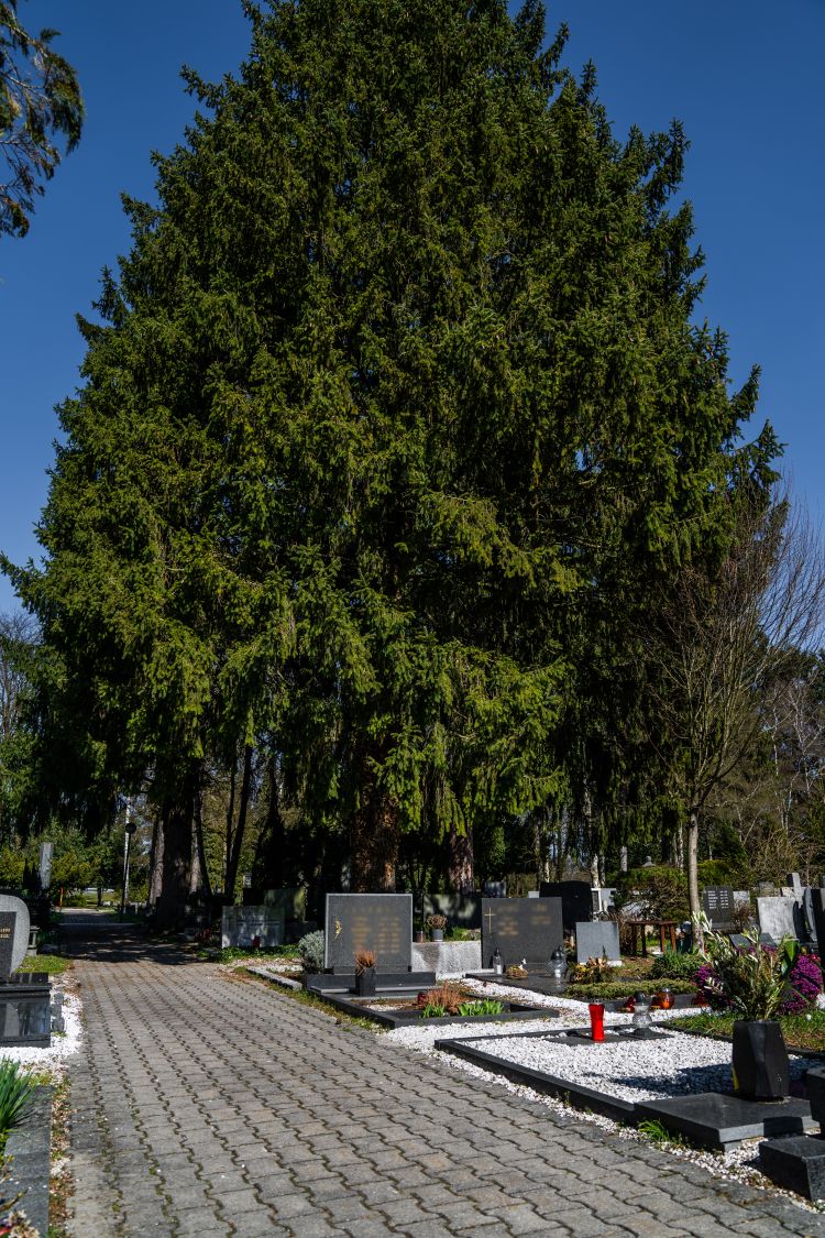 1742476520-dsc07920-1742476456991