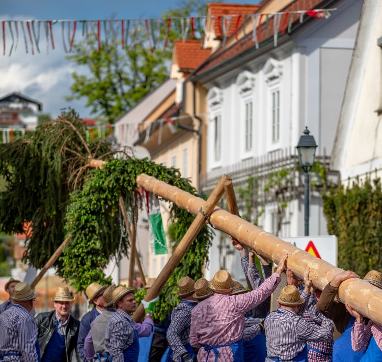 Sentjurjevanje_mlaj_19_4_2024_foto_Nik_Jarh_24