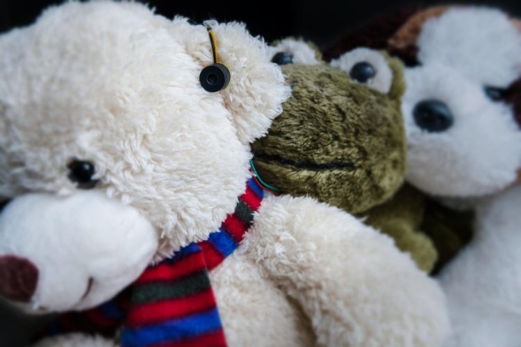 mikrofon medvedek.jpg