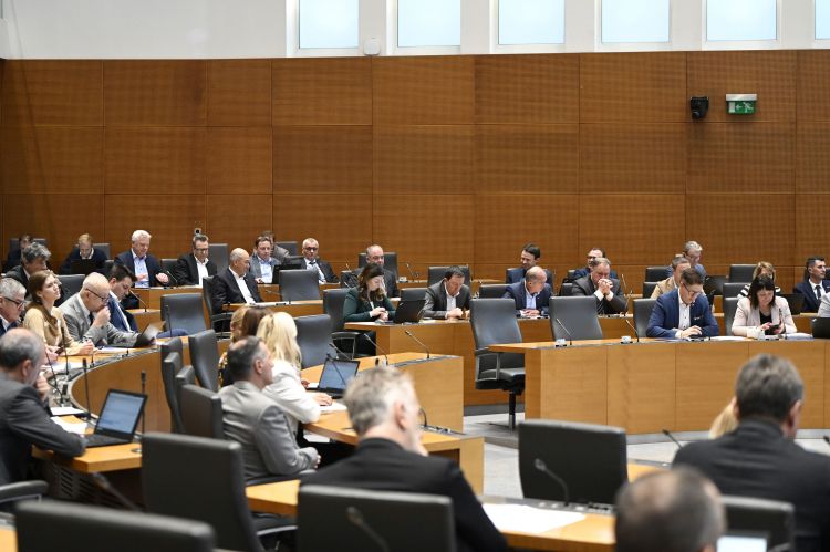 državni zbor, poslanci.jpg