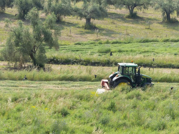 kosnja-trave, traktor