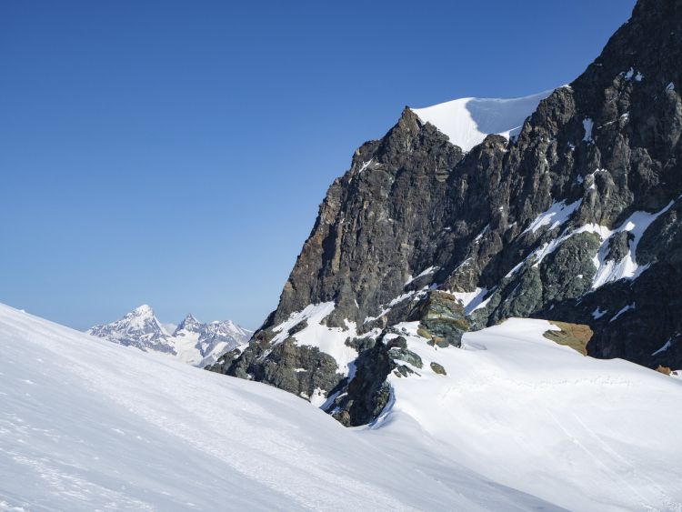 Rimpfischhorn