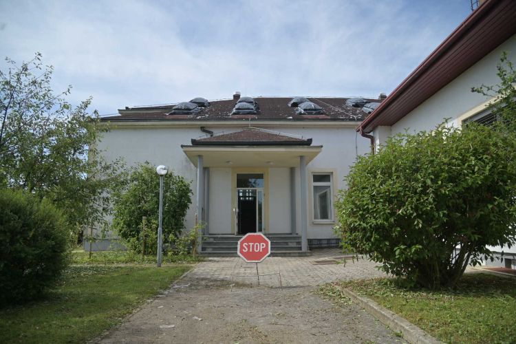 šalovci