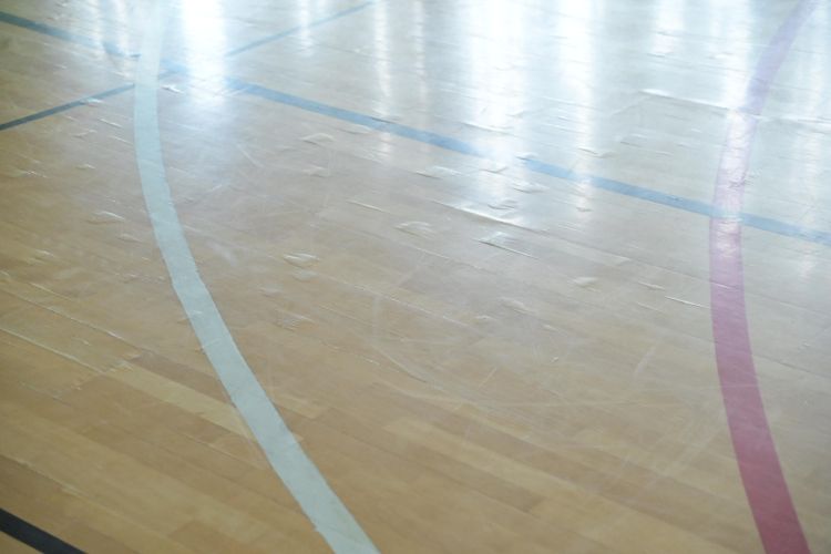 šalovci