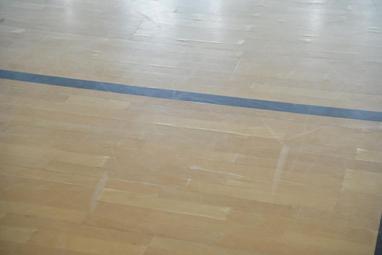 šalovci