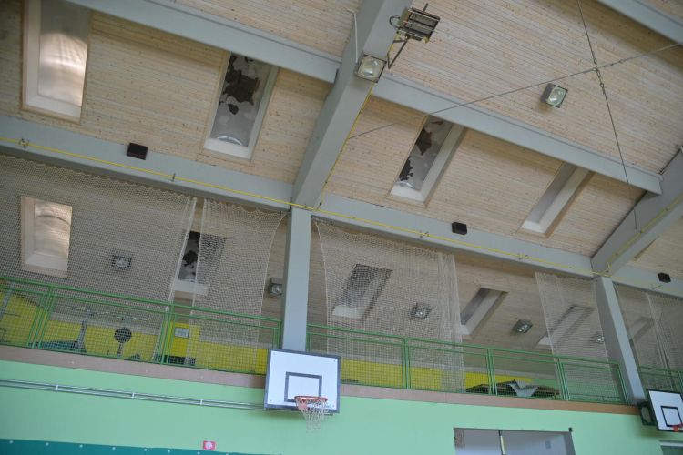 šalovci