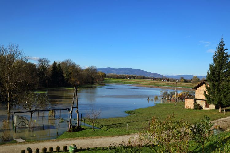 Drava za splet