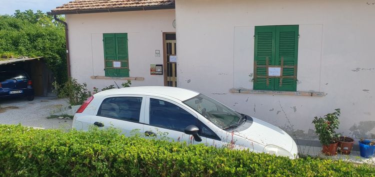 marotta, umor