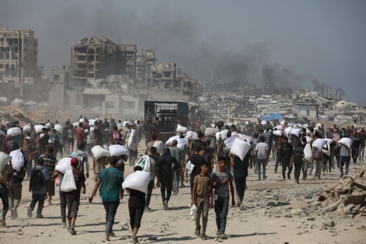 gaza6