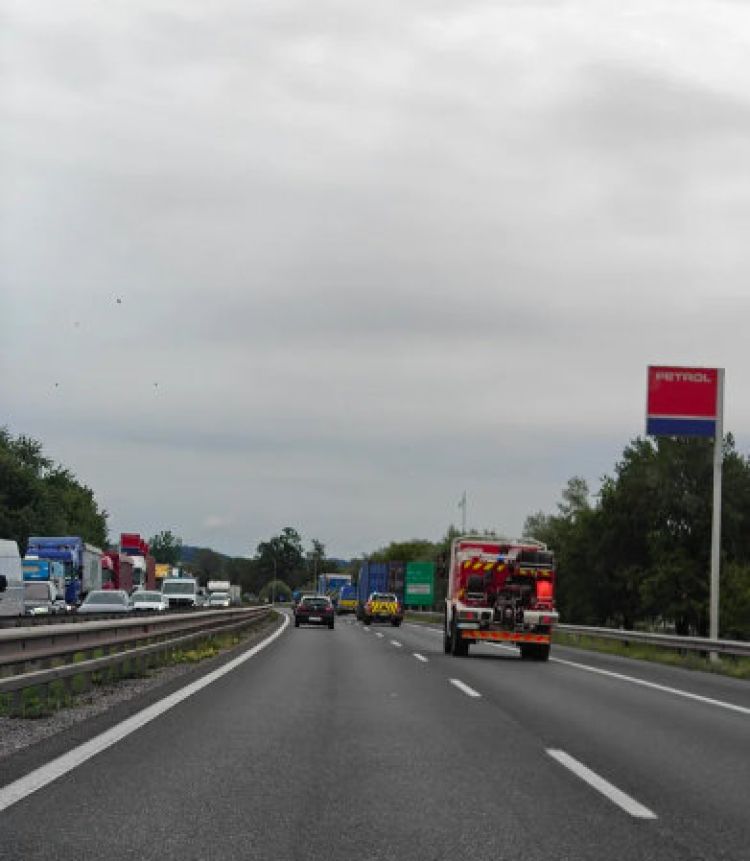gasilci