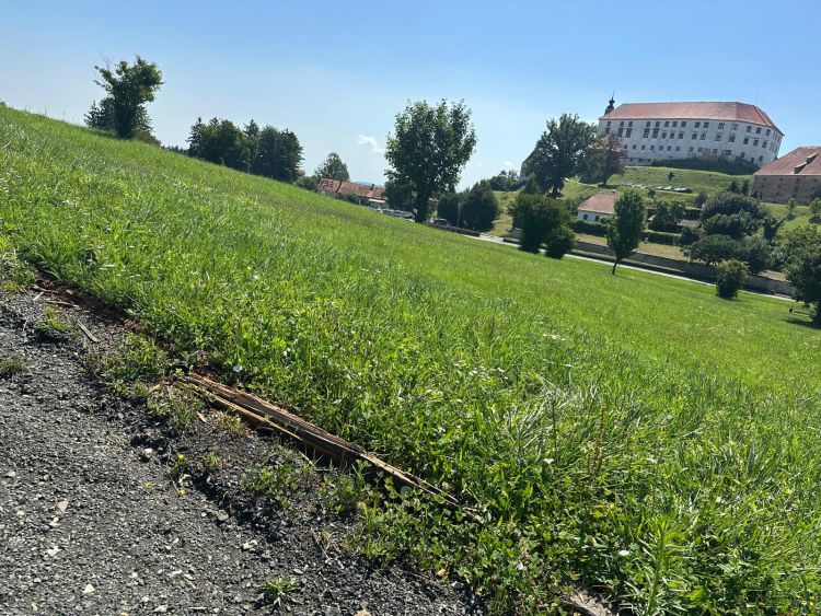 MZ Panorama 1