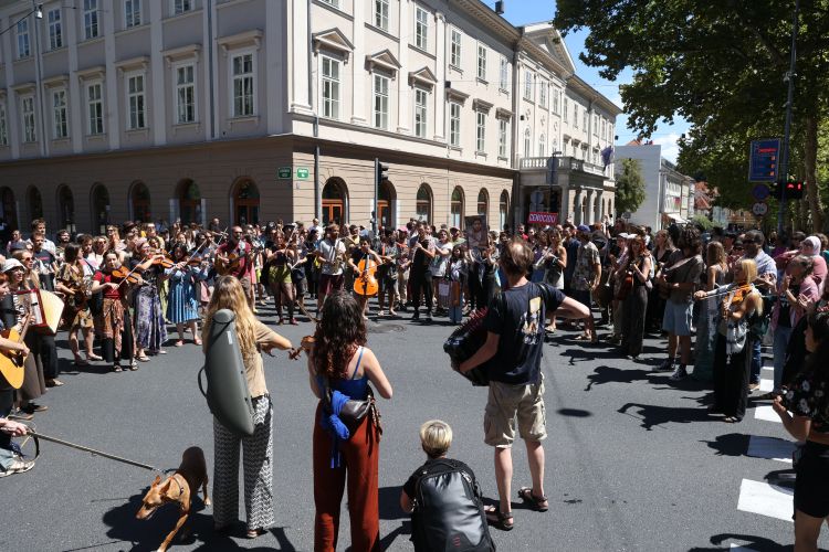 protest, sara-hamed-elkarnavi