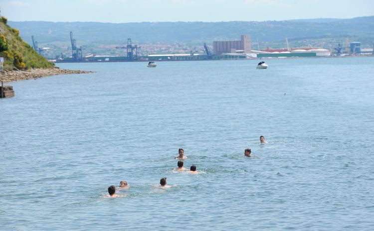 Debeli Rtič