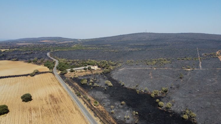 spanija, pozar, zamora