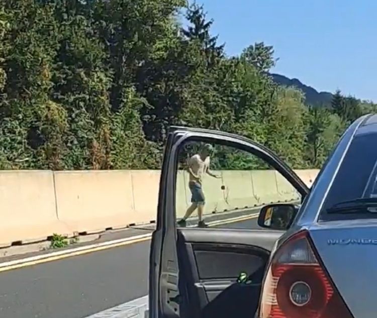 štajerska avtocesta