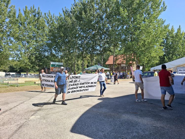 agra, prasicereja, protest, kastracija-pujskov
