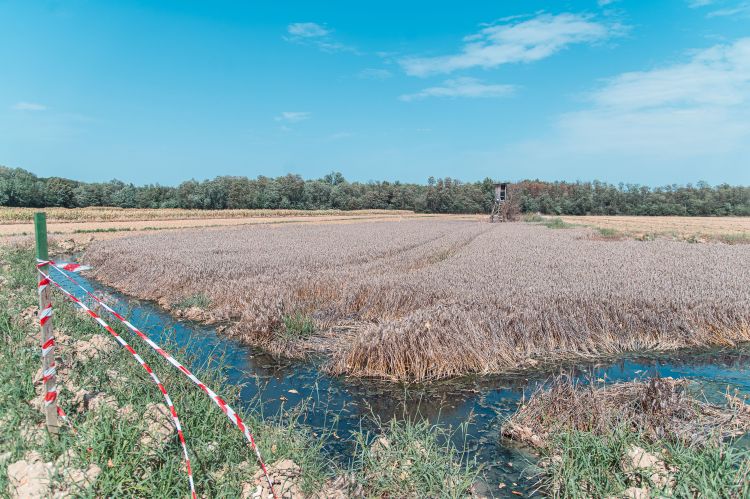 86, rakičan, uhajanje-plina-geotermalne-vode
