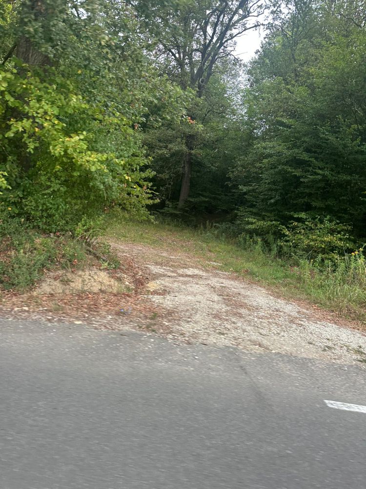 ovce, kadavri, poginule-ovce, nacionalni-veterinarski-inštitut