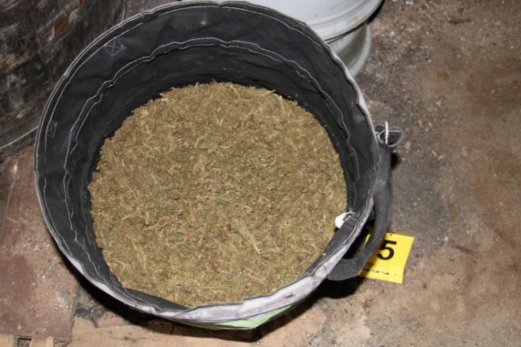 zaseg, droga, denar