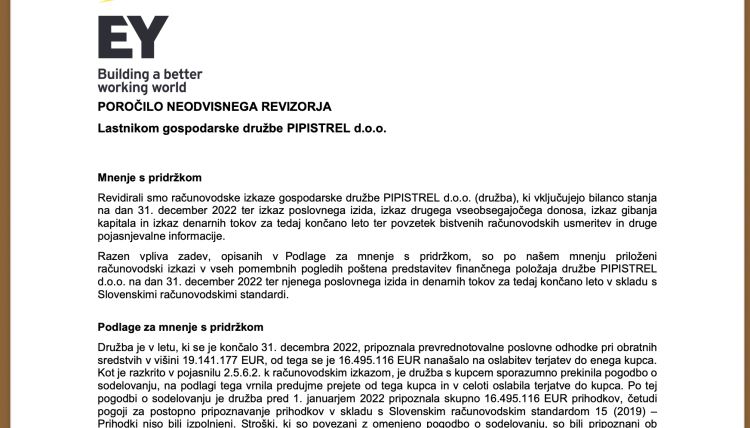 pipistrel