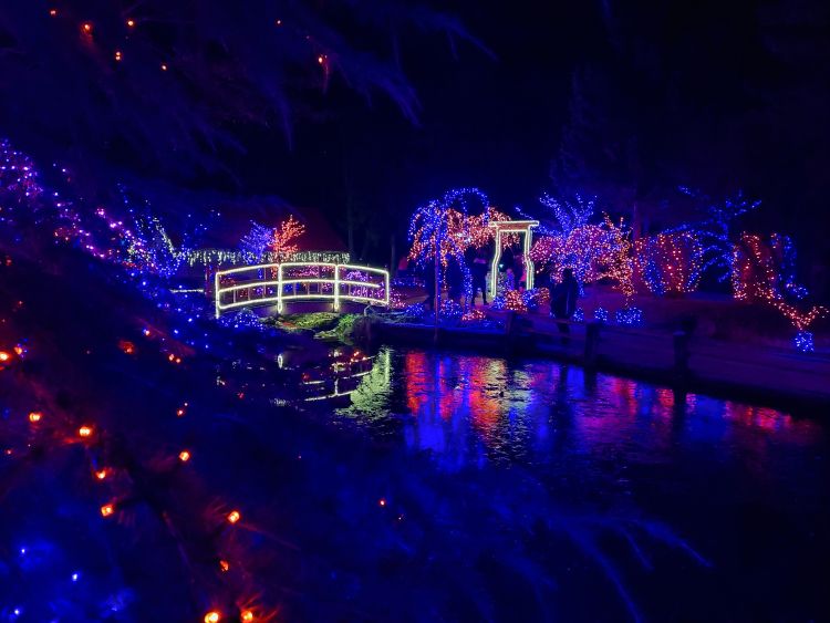 V Mozirskem gaju je letos zasijalo kar 2 milijona lučk